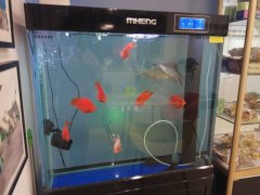 玻璃魚缸臟了怎么清洗才干凈？